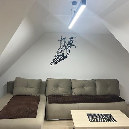 Family Apartmans Harry- Apartmans Of The Apart Hotel & Spa Zoned, Kopaonik - Special Benefit, Children Up To 13 Years Of Age Accompanied By Two Adults Stay For Free-Parking-Breakfast-Pool&Spa 외부 사진